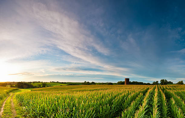 Midwest, USA